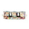 Avant Garden Herb Pots - Set Of 3