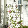 Bird On Ball Trellis