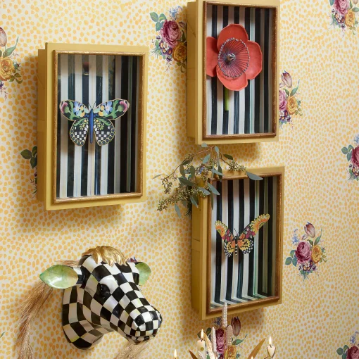 Butterfly Shadow Box
