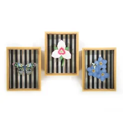 Butterfly Shadow Box