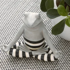 Namaste Frog