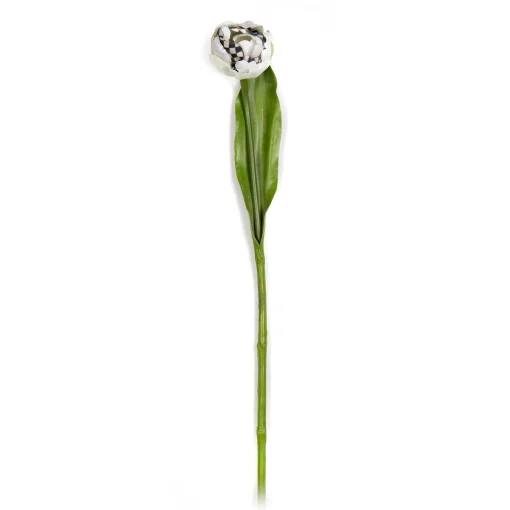 Parrot Tulip - Ivory