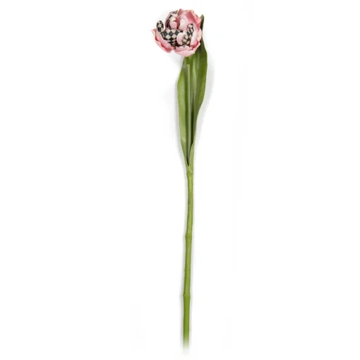 Parrot Tulip - Pink