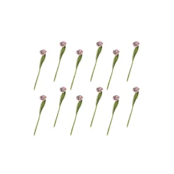 Parrot Tulip Bouquet - Pink - Set Of 12