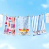 Roadster Dish Towel