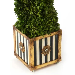 Swirl Topiary