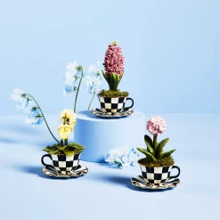 Teacup Pansy