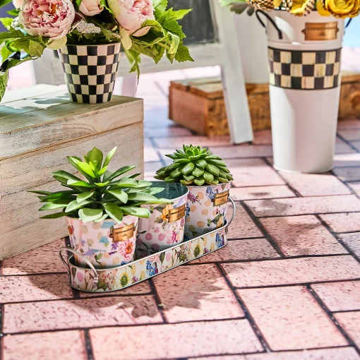 Wildflowers Herb Pots - Set Of 3